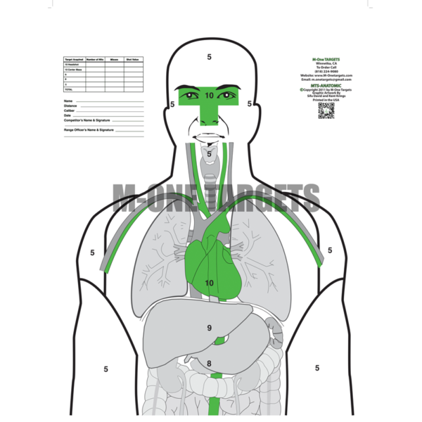 MTS - ANATOMIC