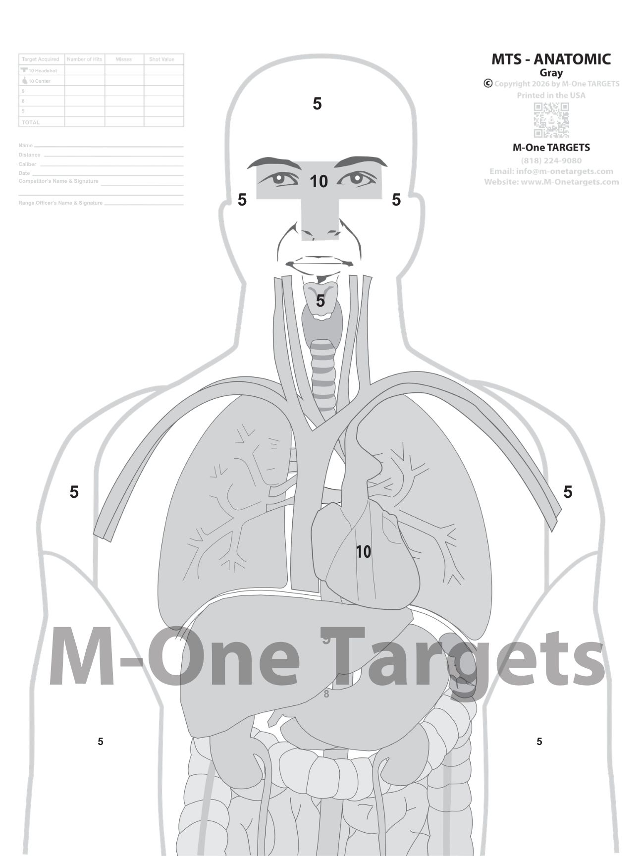 MTS - ANATOMIC GRAY | M-One Targets